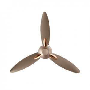 Havells Ambrose Decorative BLDC 1200mm Energy Saving with Remote Control 5 Star Ceiling Fan (Gold Mist Wood, Pack of 1)