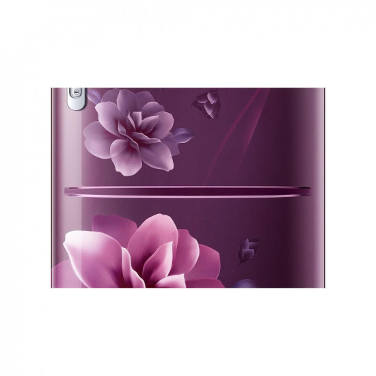samsung-183-l-4-star-digital-inverter-direct-cool-single-door-refrigerator-rr20c1724cr-hl-598034_l